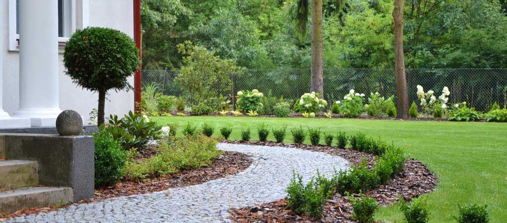 Zdjęcie ogrodu