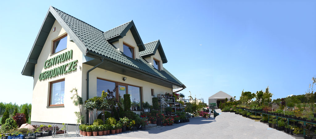 Krzewy ozdobne